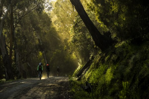 AUSTRALIA, LORNE - 2019 Amy's Gravel Fondo on September 14, 2019 in Lorne, Victoria, Australia. Credit Con Chronis