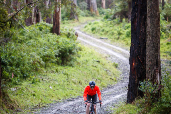 Amy's Gravel Fondo